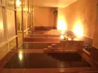 Crane Hotel Takajo - Varme kilder