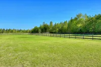 Mimosa Cottage Farm- 2br cottage & stalls. Masters - 2 étoiles