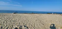 Ocean View Beach house steps from the ocean, minutes away from downtown Plymouth - 방갈로