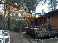 Unique private Forest  mountain Getaway