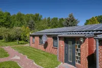 Düne 8