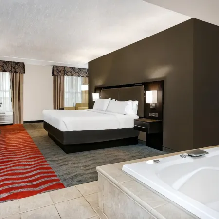 Holiday Inn & Suites COLLEGE STATION-AGGIELAND by IHG