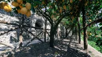 Poggio Angelarosa: Double Room in Lemon Garden on the Hills of the Amalfi Coast - 3-Star