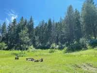 Stunning Custom Made Log Home- on 30 acres