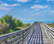 *Pool* 8.5 miles to Honeymoon Island. 4 bdr