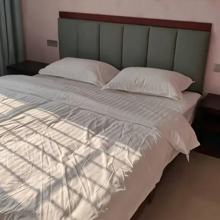 1+1 Stylish Homestay