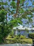 Waterfront on White Sound, Private Dock, Beach, Swimming Pool, Solar/Batteries - 4-Star