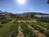 Downtown Napa!  Unit A Walk to Everything! - 4-Star