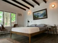 Pet Friendly 1 BR Apartment in Uptown Kingston + Huge Backyard & Full Kitchen - Wifi