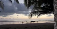 Beachfront Jungle Casita  Surf, Sunsets & Privacy   20 Steps to Ocean - Beach
