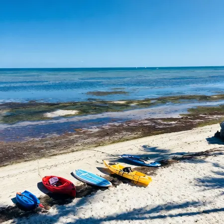 Beach Dream House, relax and enjoy the clear waters of Islamorada FL