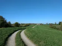 MY Happy Place - View of Ark from Our Farm - 무료 와이파이