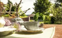 Holiday home Siebenstein near the Rursees and the beach Eschauel - Wifi