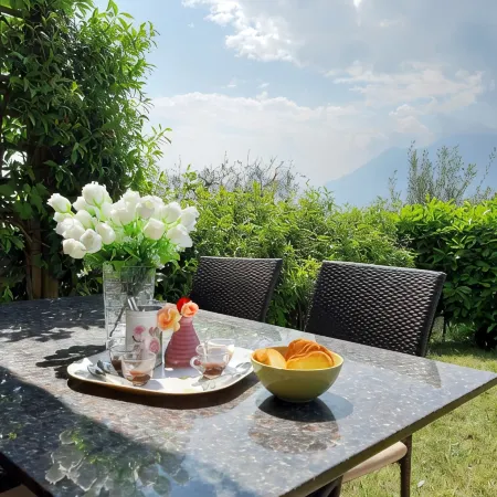Apartment Agnese with lake view, swimming pool, garage and private garden.
