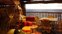 Villa Paulina Beach Resort and Spa - バー