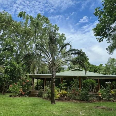 Paperbark Retreat