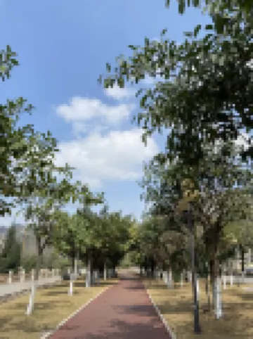 防城港三衹貓Loft公寓（第四中學德城美食街店）