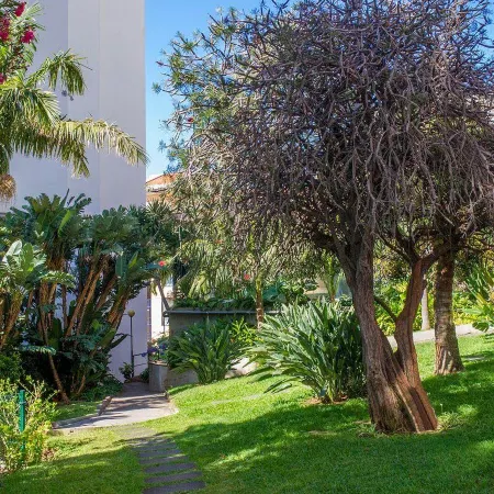 Dorisol Buganvília Studio Hotel
