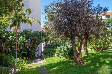 Dorisol Buganvília Studio Hotel