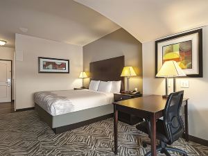 La Quinta Inn & Suites by Wyndham McKinney