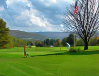 Best Western Plus Waterbury - Stowe Hotels in Montpelier