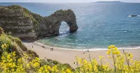 Nuthatch Cabin at Cloudshill Glade Hotels near Studland Naturist Beach