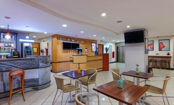 Ibis Teresina