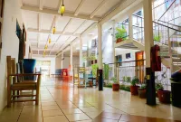 Casa Oro Eco Hostel