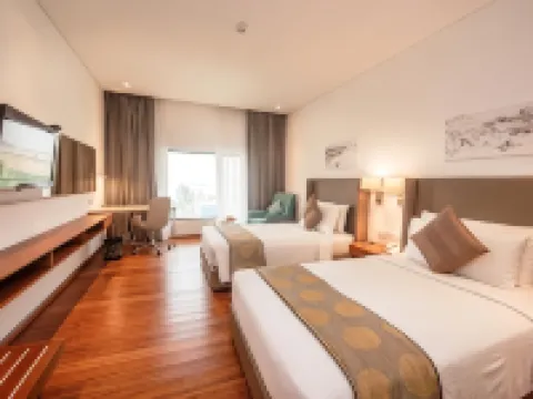 維萬塔科倫坡機場花園 尼甘布酒店