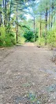 Cozy Boho Camping in 1Bedroom RV-5 min from Renfest!
