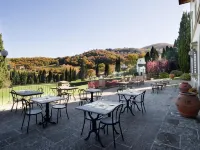 Villa Campestri Olive Oil Resort Hotele w: Vicchio