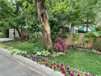 Riviera Courtyard Guest House Islamabad