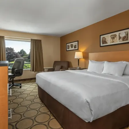 Comfort Inn Hotels in Simcoe County