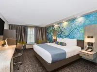 Wingate by Wyndham Goodlettsville グッドレッツヴィルのホテル