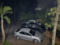 Atherton Blue Gum - parking
