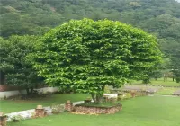 Pacific Inn 360 Degree Resort Rishikesh Hotels in Shivpuri