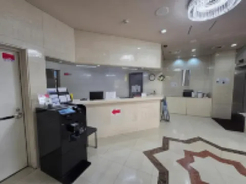 東京新松戶都市酒店 松户市酒店