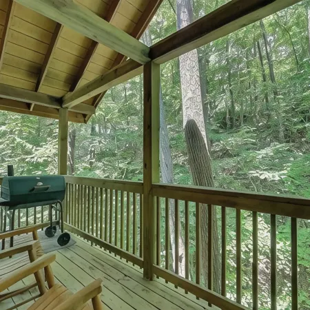 Creekside Paradise Found! One-Bedroom Mountain Cabin in Pigeon Forge