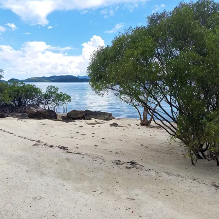 Sand Island Beach and Dive Resort