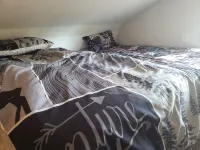 1 private bedroom, sofa sleeper and 2 lofts - Cabin In The Country Woods - 2-Star