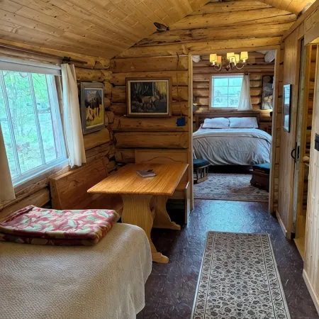 Cozy historic log cabin in downtown Talkeetna with WiFi
