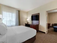 Comfort Inn & Suites Near Six Flags & Medical Center - Kuntosalit