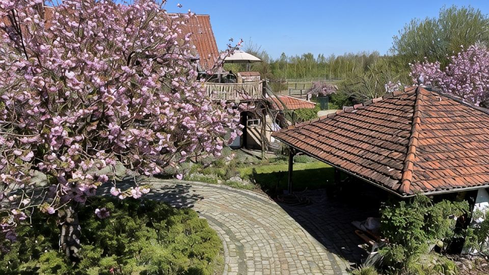 Ferienwohnung im Spargeldorf Schäpe mit Großer Südwest Terrasse