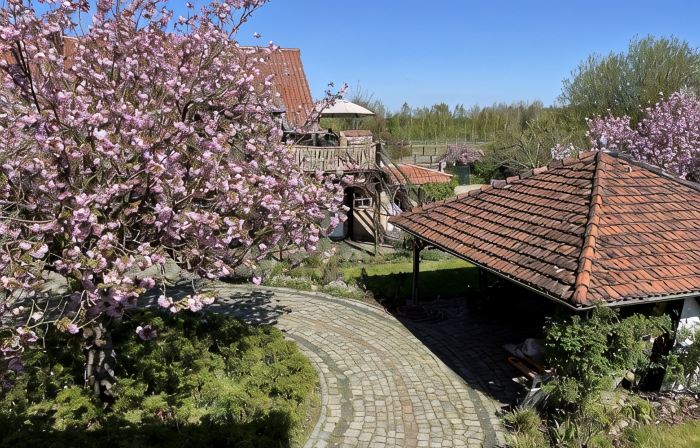 Ferienwohnung im Spargeldorf Schäpe mit Großer Südwest Terrasse