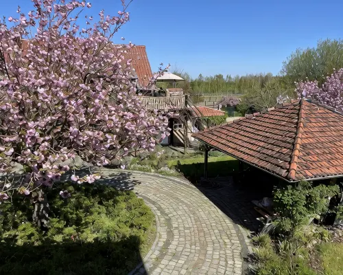 Ferienwohnung im Spargeldorf Schäpe mit Großer Südwest Terrasse Hotels in Beelitz