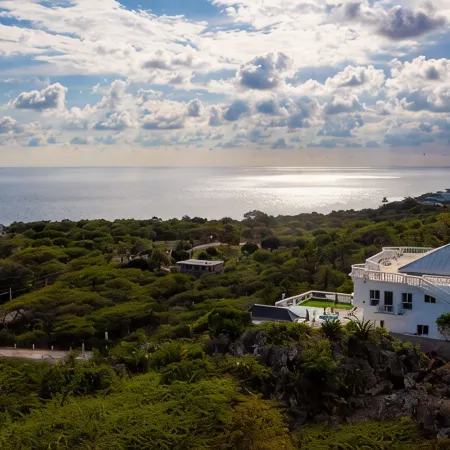 Coral Bay Chateau - Luxury Villa in Treasure Beach