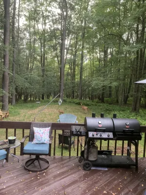 Pocono Cabin Big Bass Lake Resort  Ski, Indoor Pool - 4-Star