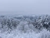 Fantastic Vacation Apartment "Waldhonig" - 3-Star