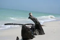 Spectacular beach front views with a short walk to members only beach