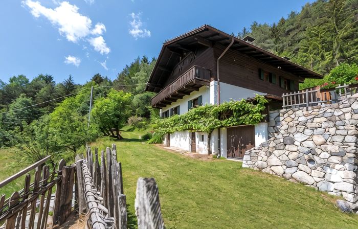 Villa Vintila with whirlpool & sauna - in a quiet, idyllic location